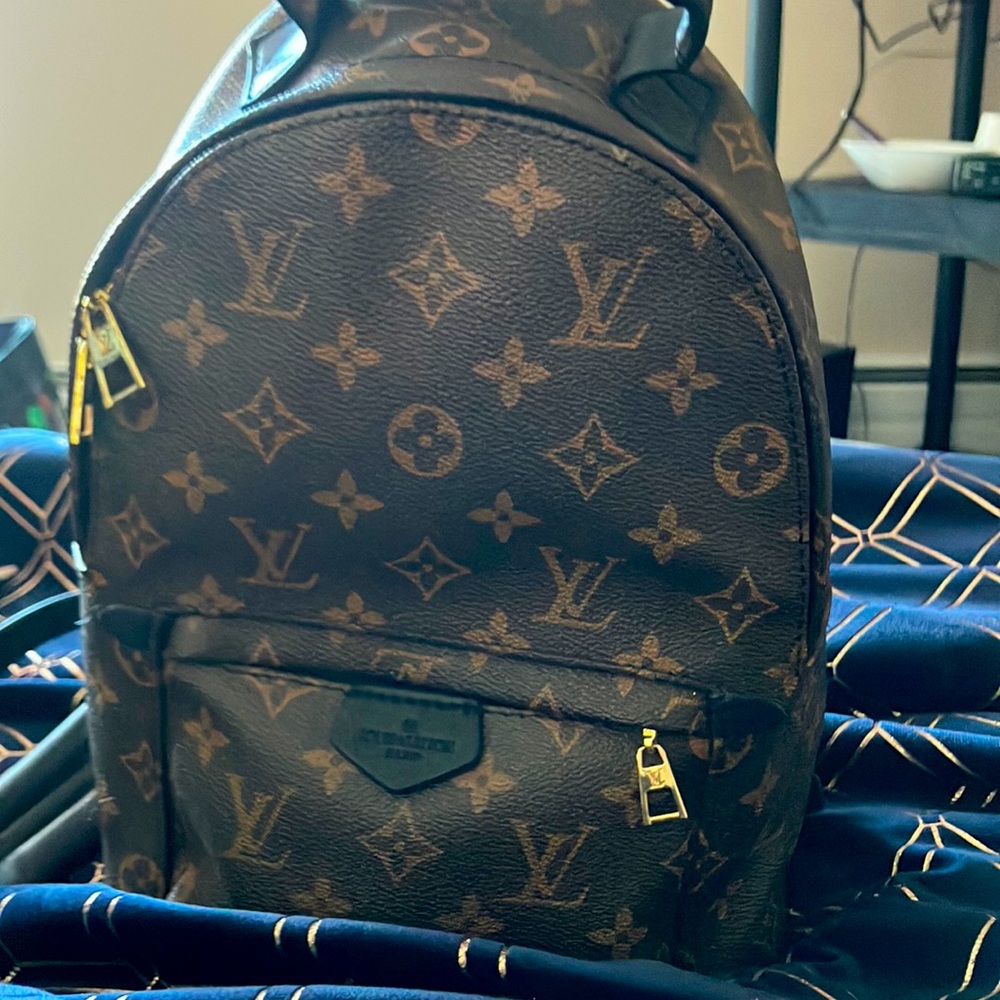 Louis Vuitton back pack